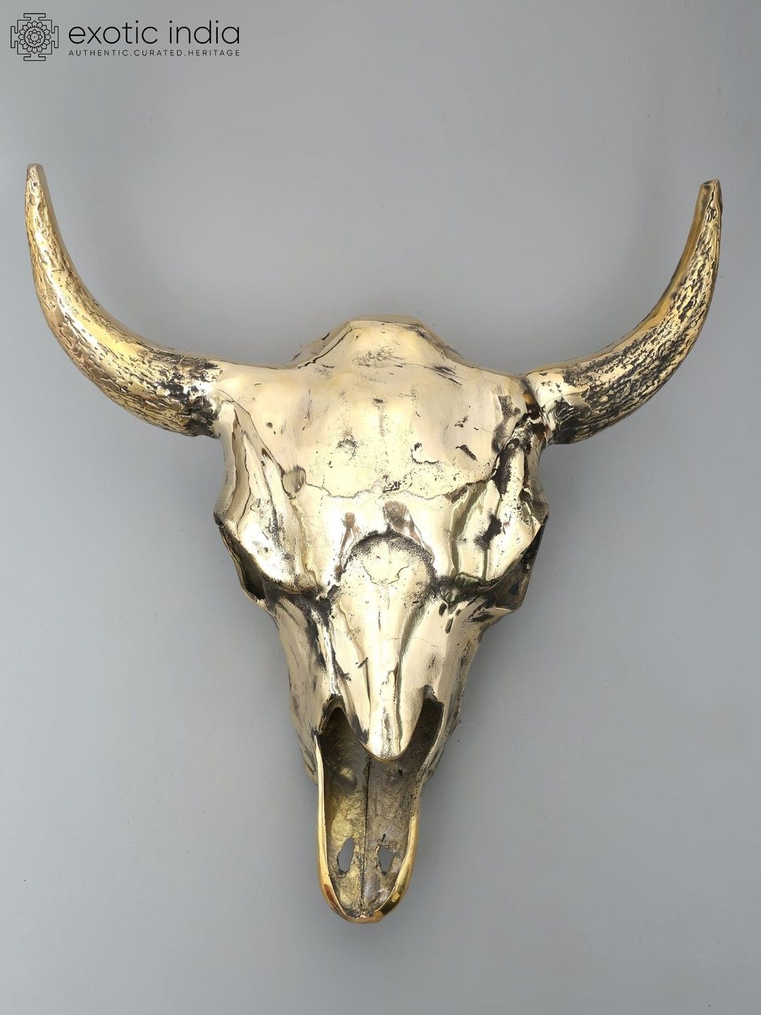 Exotic India Yellow Textured Buffalo Skull Wall Hangings-image-13
