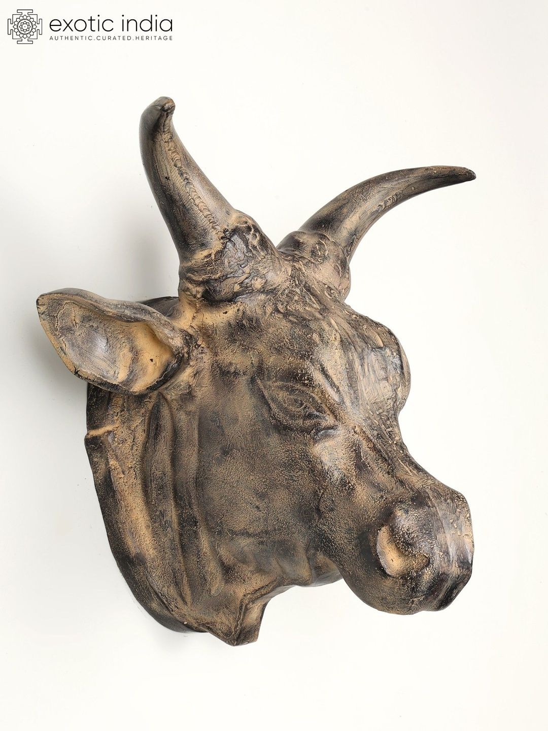 Exotic India Brown Textured Fighting Bull Head Wall Hangings-image-44