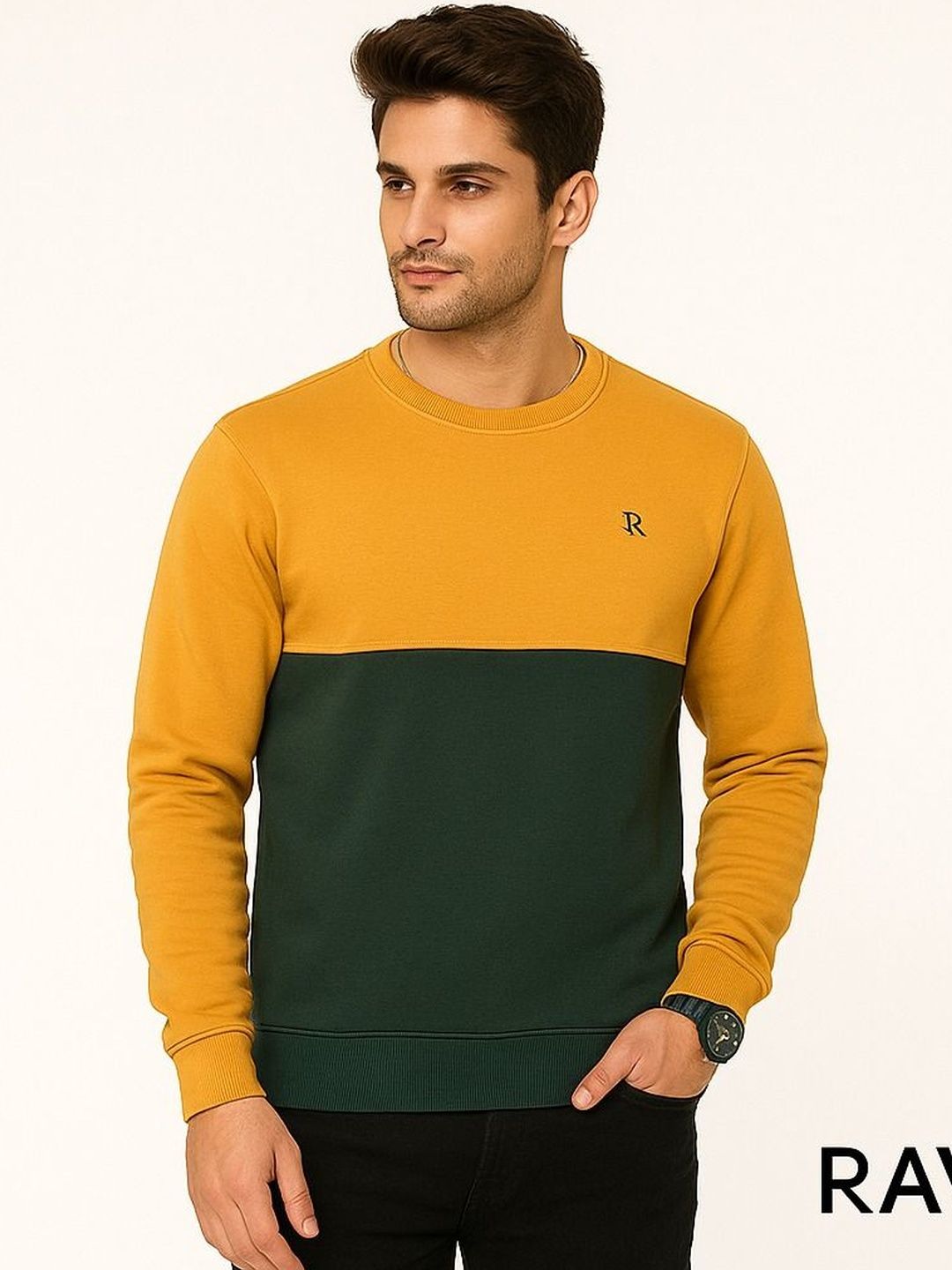 Raves Men Colourblocked Sweatshirt-picture-38