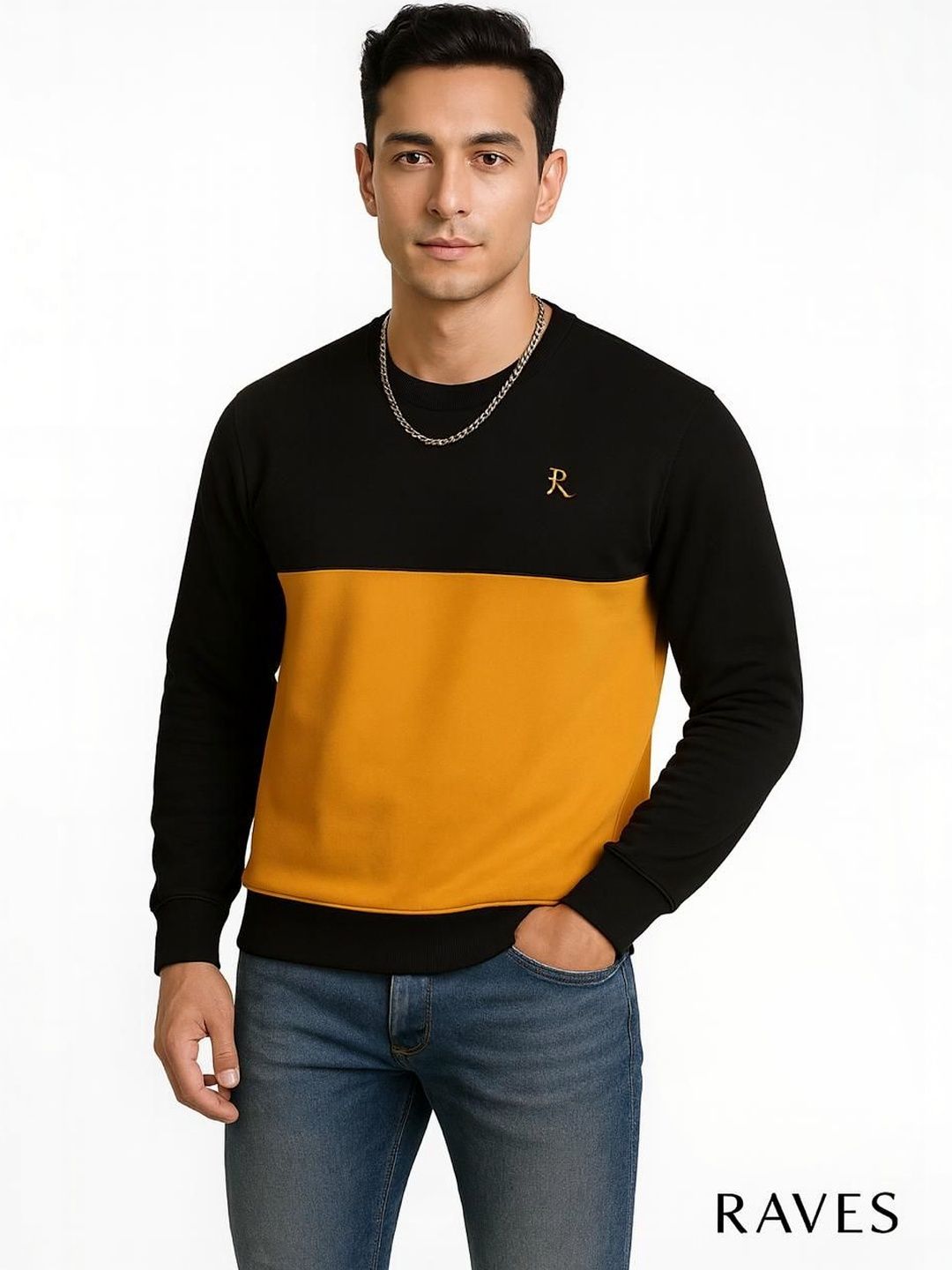 Raves Men Colourblocked Sweatshirt-picture-22