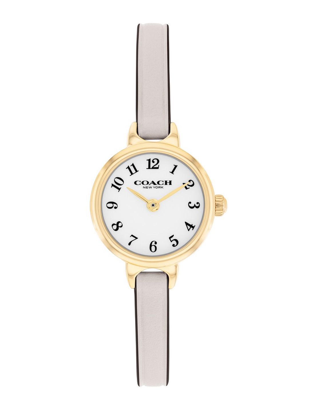 Coach Women Iris Dial & Leather Straps Analogue Watch 14504655-image-12