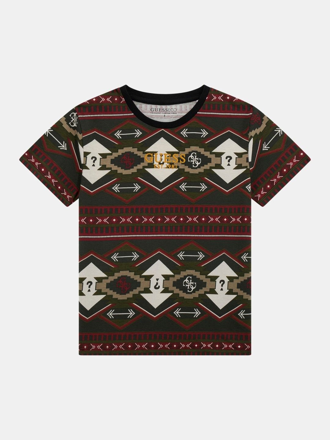 GUESS kids Boys Cotton Tshirts-picture-54