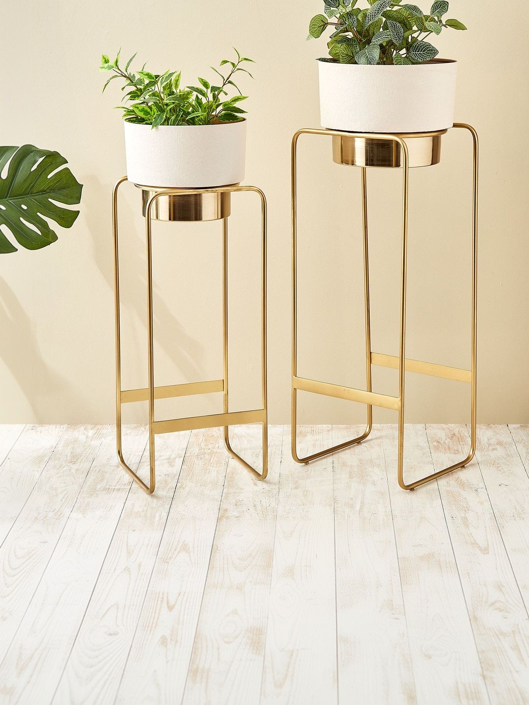 Home Centre Gardenia Ferra 2 Pcs White Floor Planters With Stand-picture-25