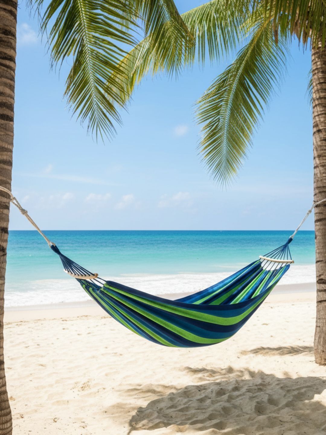 TASKHOUSE Blue & Green 2-Person Hammock Beach Swing with Hardwood