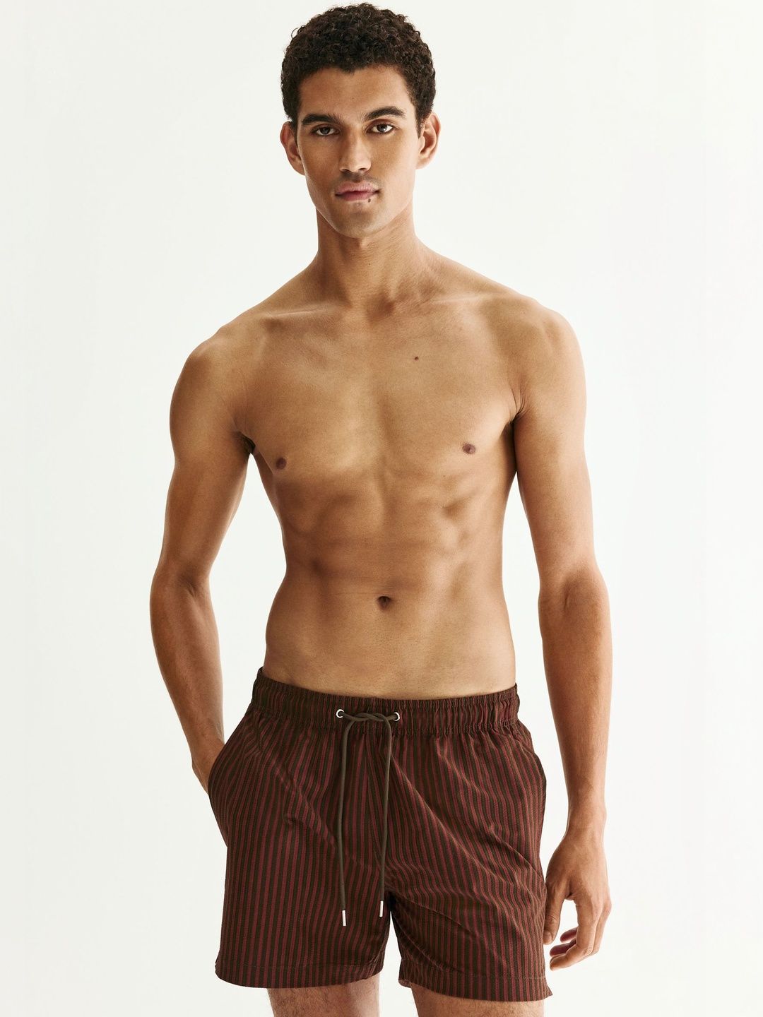 H&M Seersucker Swim Shorts