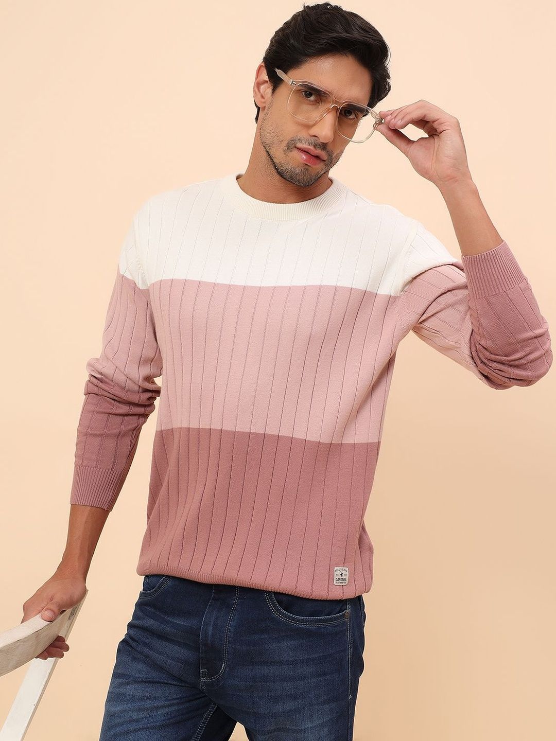 Cantabil Men Colourblocked Pullover