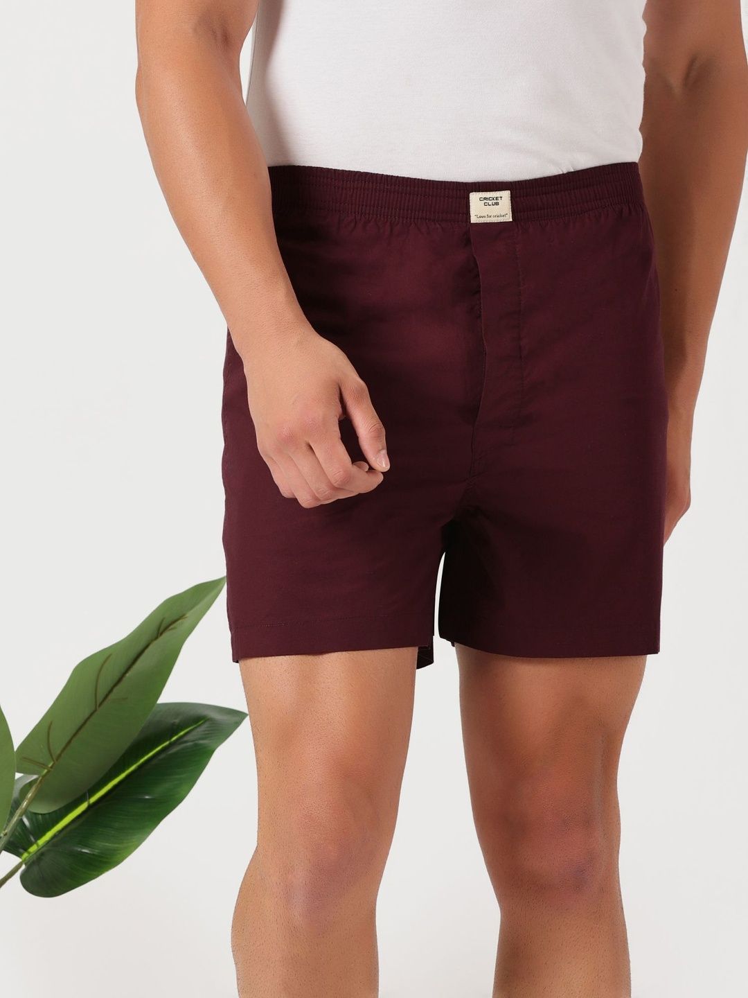 Thomas Scott Men Pack Of 3 Printed Pure Cotton Boxers-picture-12