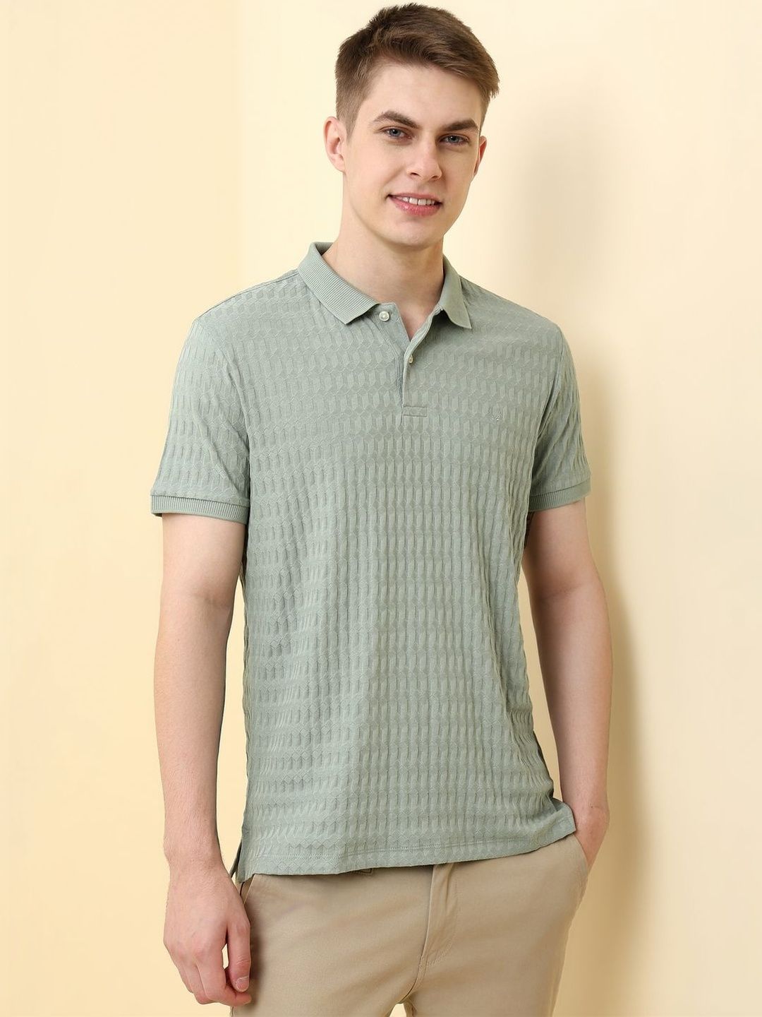 Allen Solly Men Polo Collar T-shirt-picture-21
