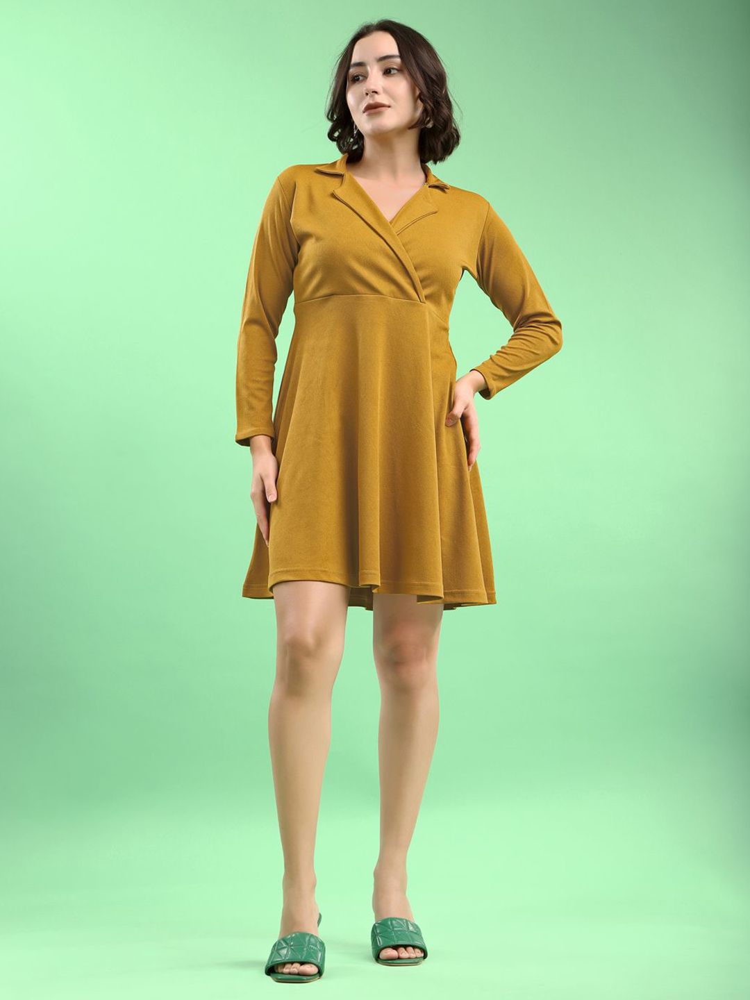 PURVAJA Women Solid Fit & Flare Dress-image-1