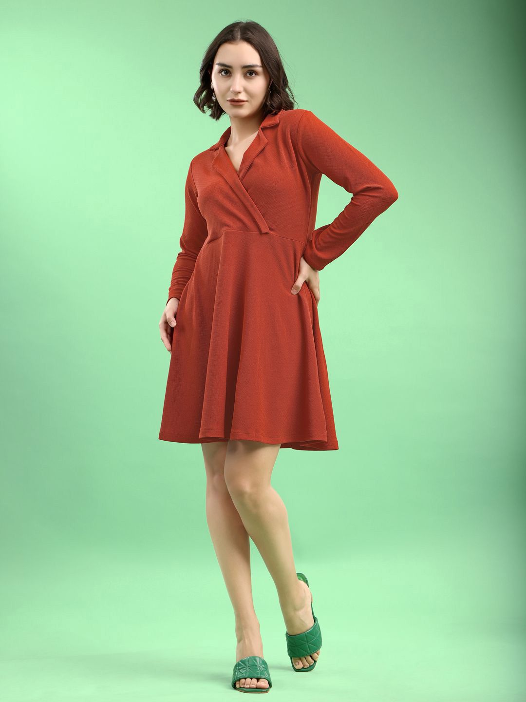 PURVAJA Women Lapel Collar Long Sleeve Fit & Flare Dress-picture-18