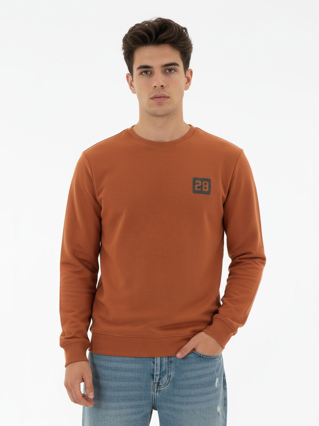 glitchez Round Neck Regular Fit Terry Sweatshirt-picture-24