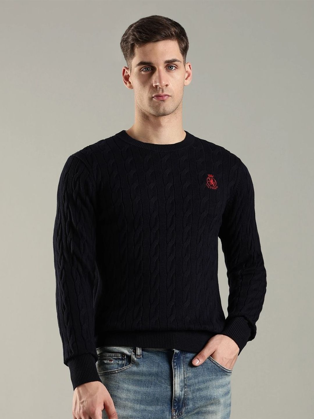 Tommy Hilfiger Self-Design Embroidered Regular Fit Organic Cotton Sweater-picture-34