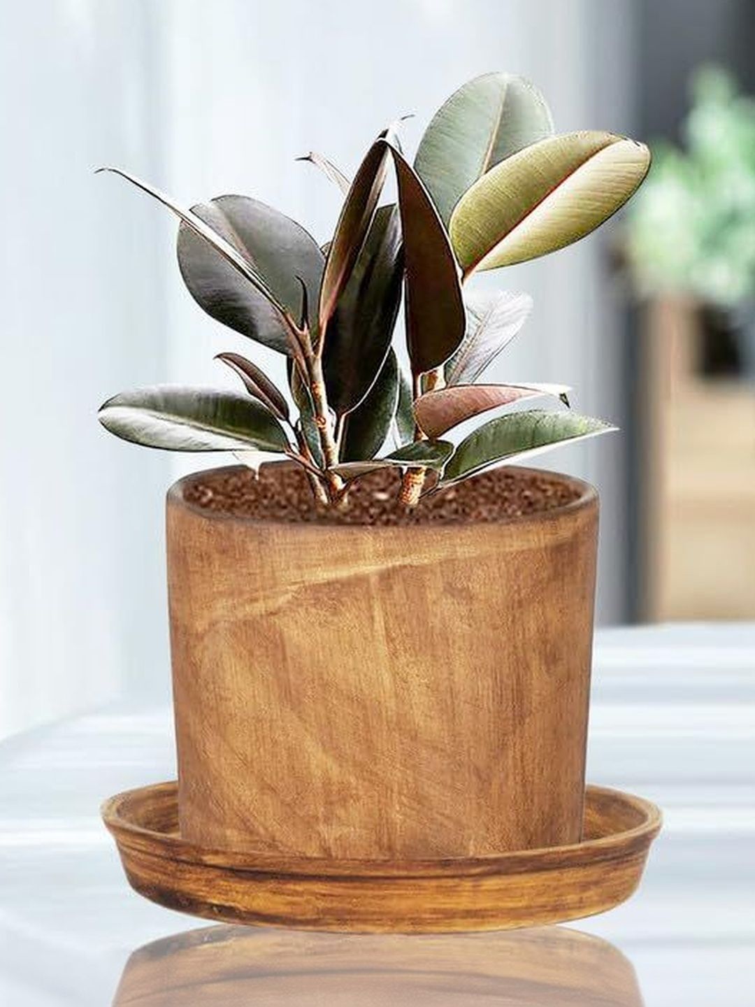 LASAKI Brown Ceramic Planter With Plate-image-39