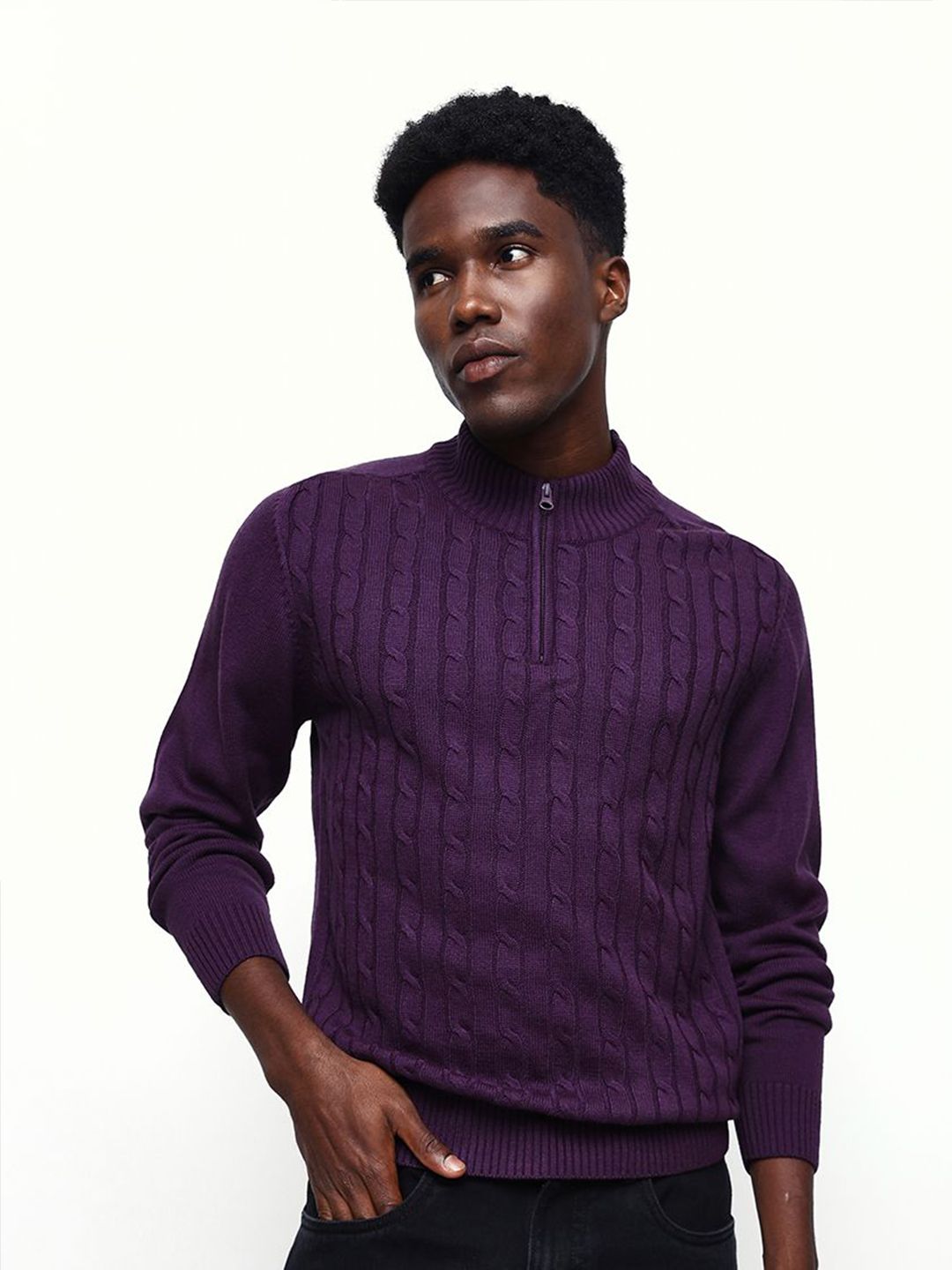 Dennis Lingo Men Mock Collar Self Design Cable Knit Pullover-picture-11