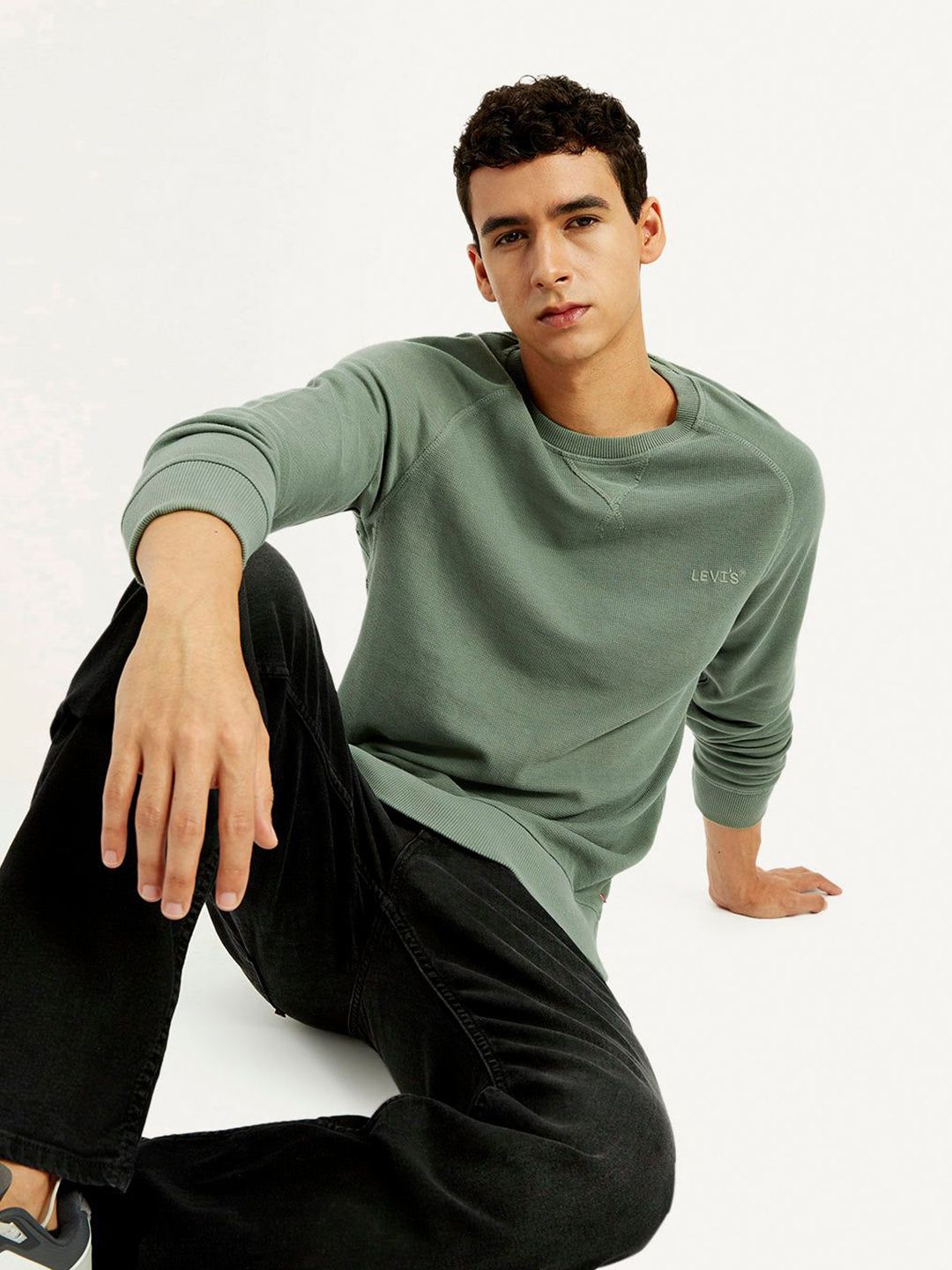 Levis Men Crew Neck Pullover Sweatshirt-picture-39