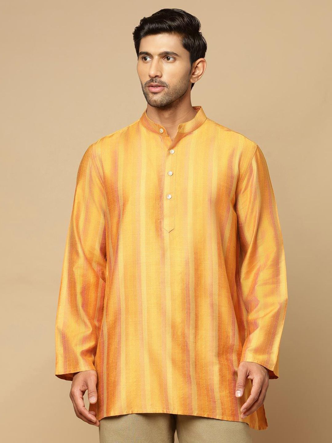Fabindia Men Striped Mandarin Collar Thread Work Kurta-picture-40