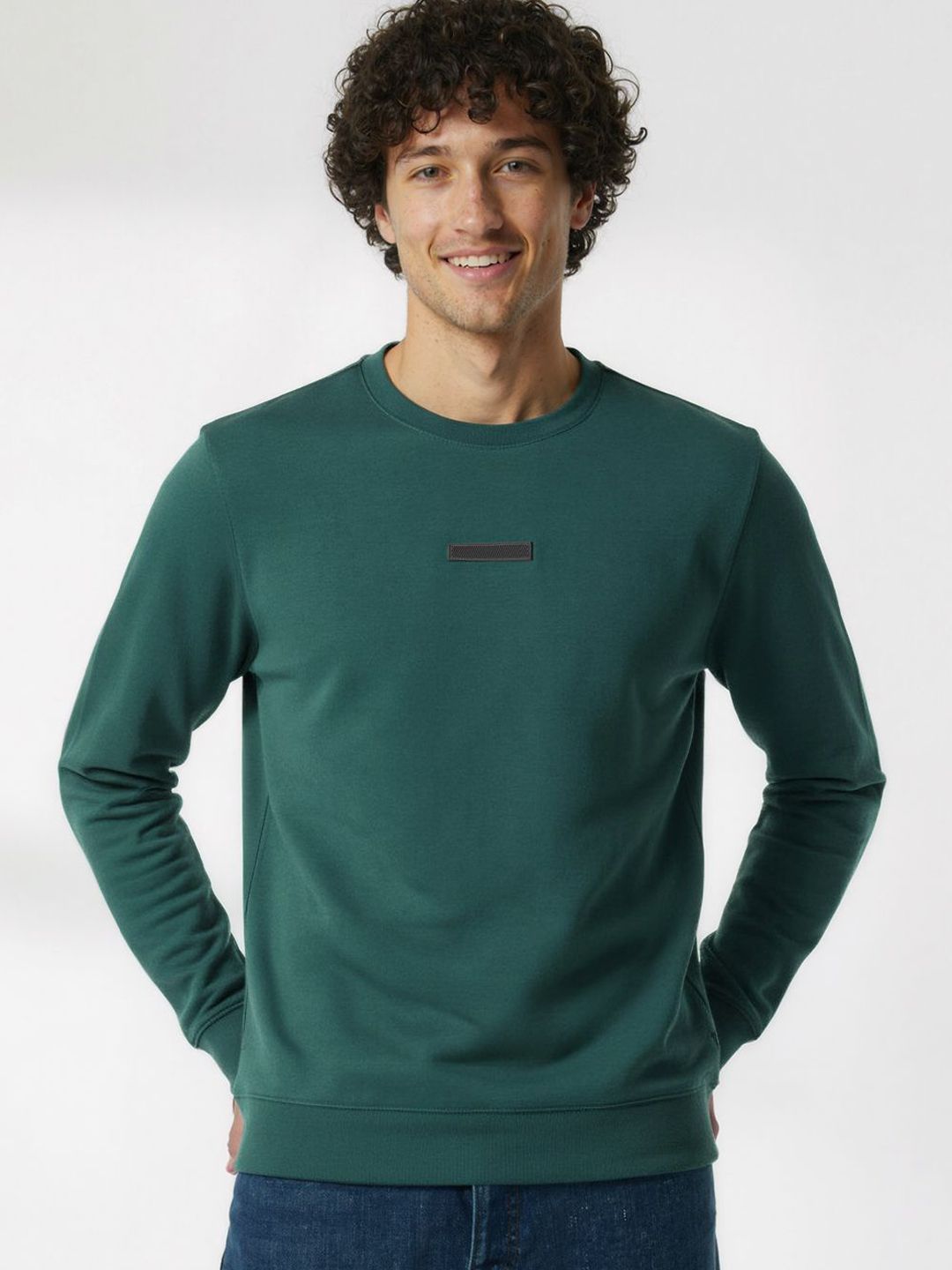 DAMENSCH Next Classic Men Solid Round Neck Long Sleeves Pullover Sweatshirt-picture-17