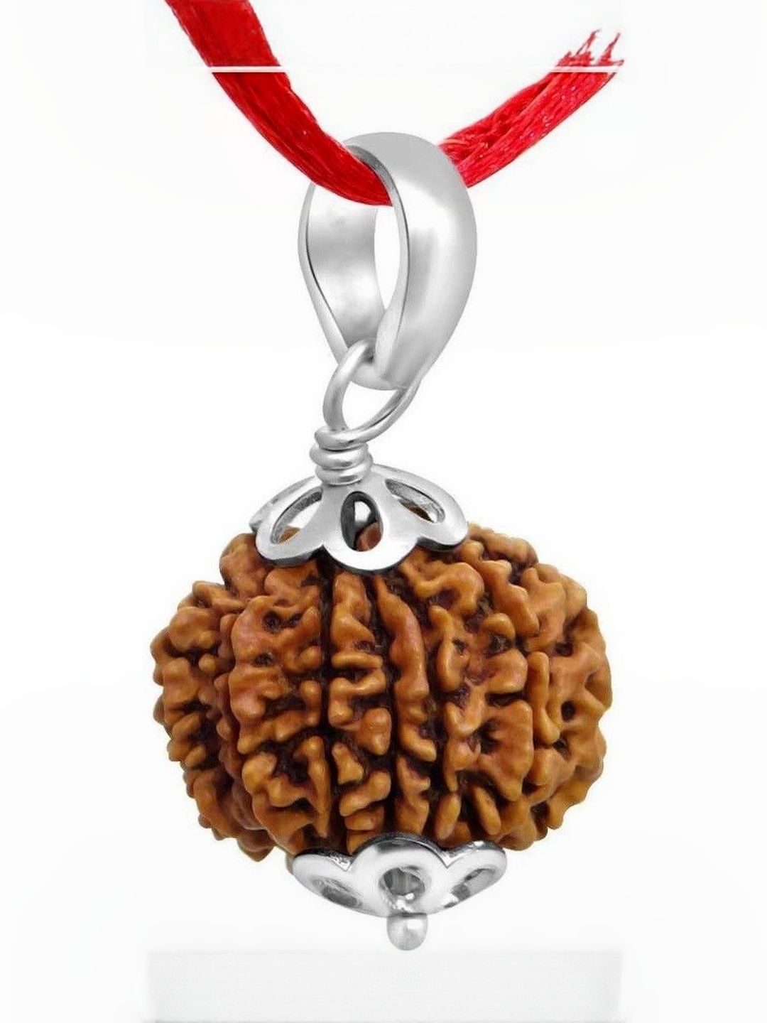 RAVIOUR LIFESTYLE Unisex Original 9 Mukhi Rudraksh Silver-Plated Spherical Pendants-picture-11