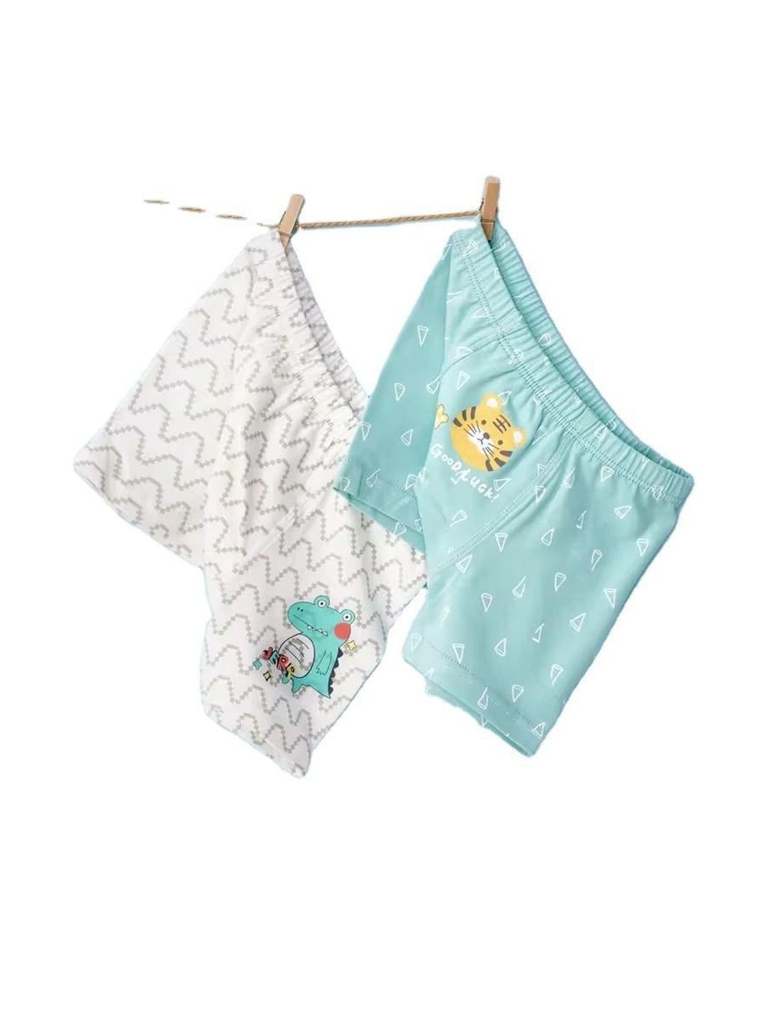 ASJAR Boys Pack of 2 Soft Cotton Boy Shorts Briefs