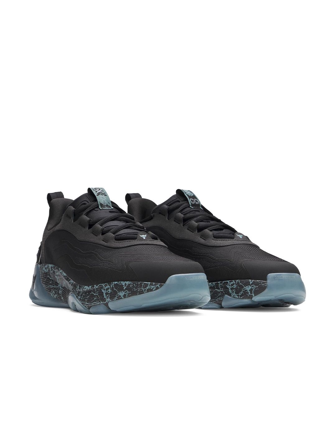 UNDER ARMOUR Men's Project Rock 8 Vet's Day Training Shoes-picture-31