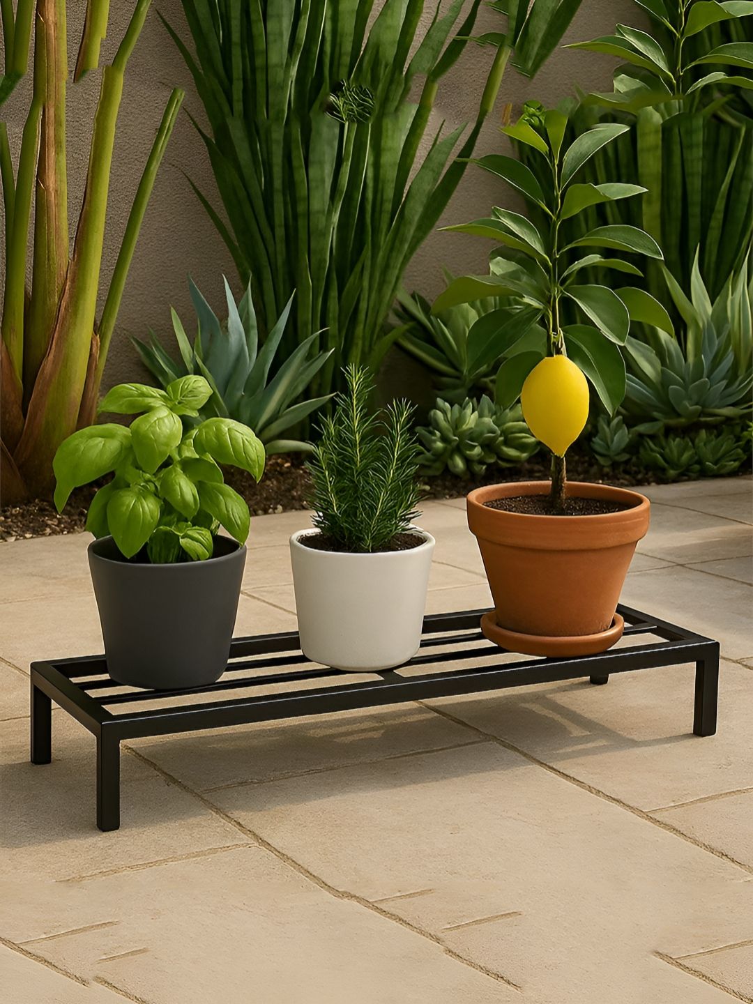 HABERE INDIA 4 Pieces Indoor & Outdoor Rust-Resistant Garden Pot Stands-picture-11