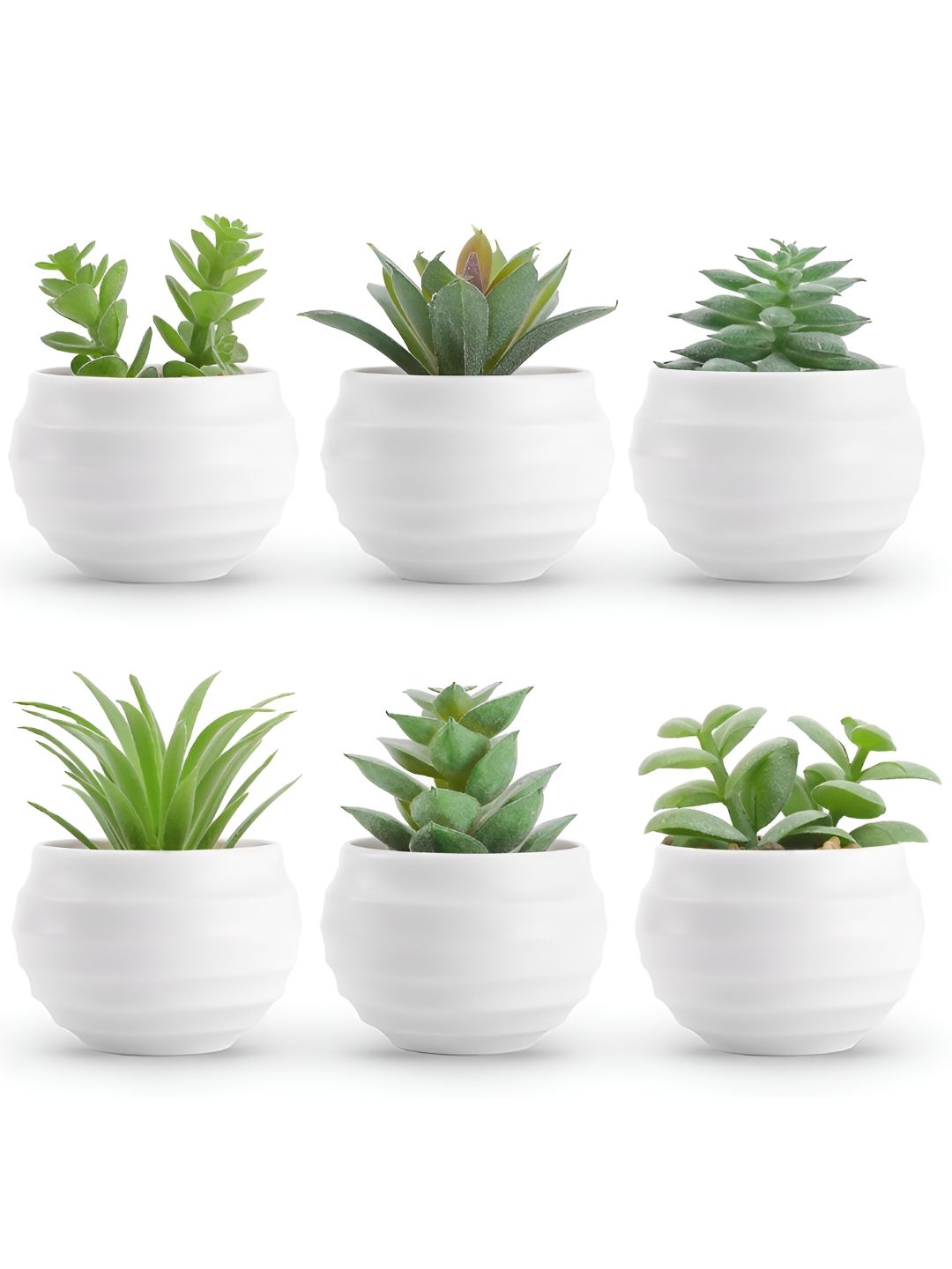 TIED RIBBONS Green 6 Pieces Artificial Plant With Pot-image-14