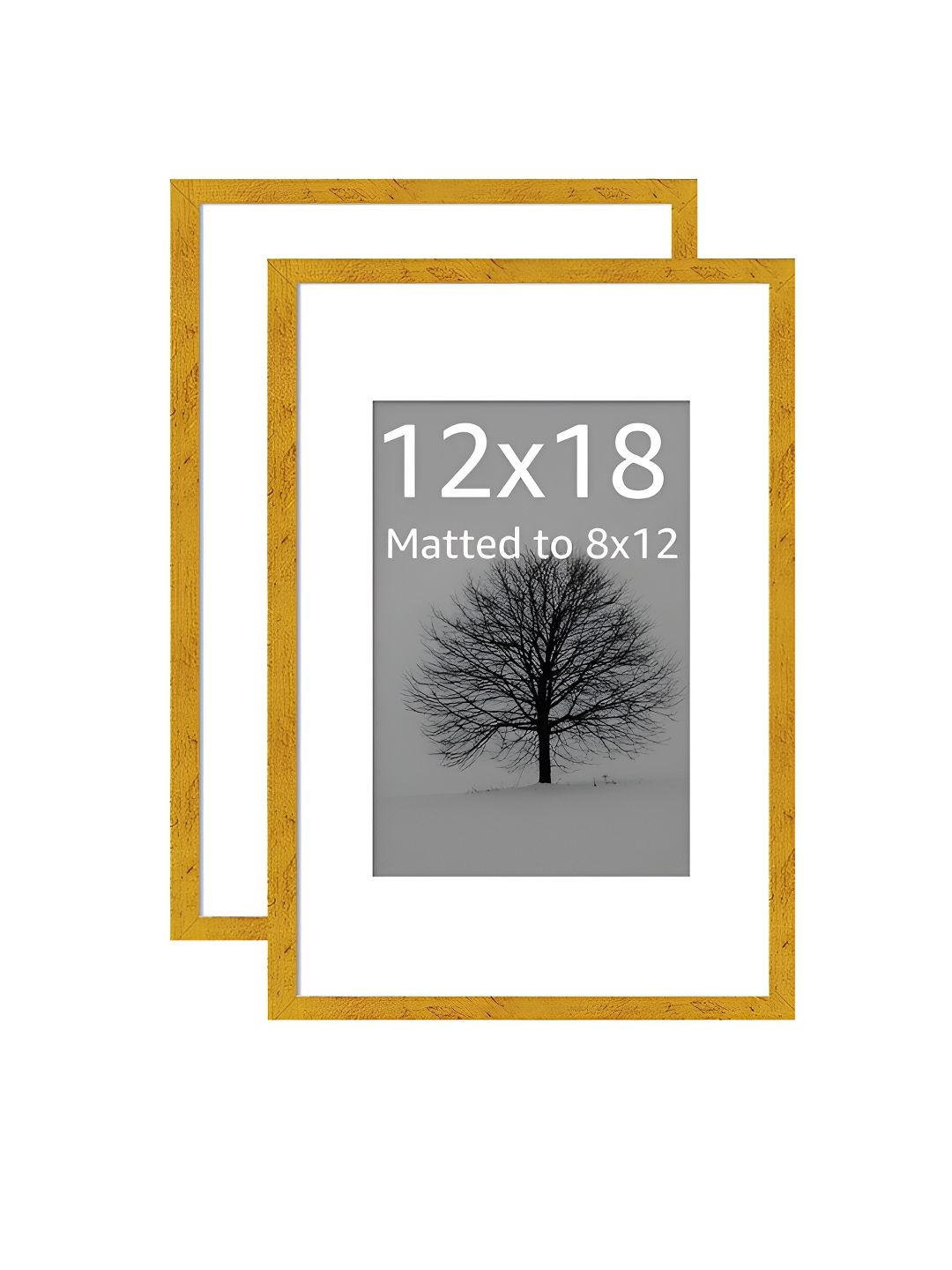 Art Street Gold-Toned & White 2 to 4 Pieces MDF Wall Photo Frames-picture-18