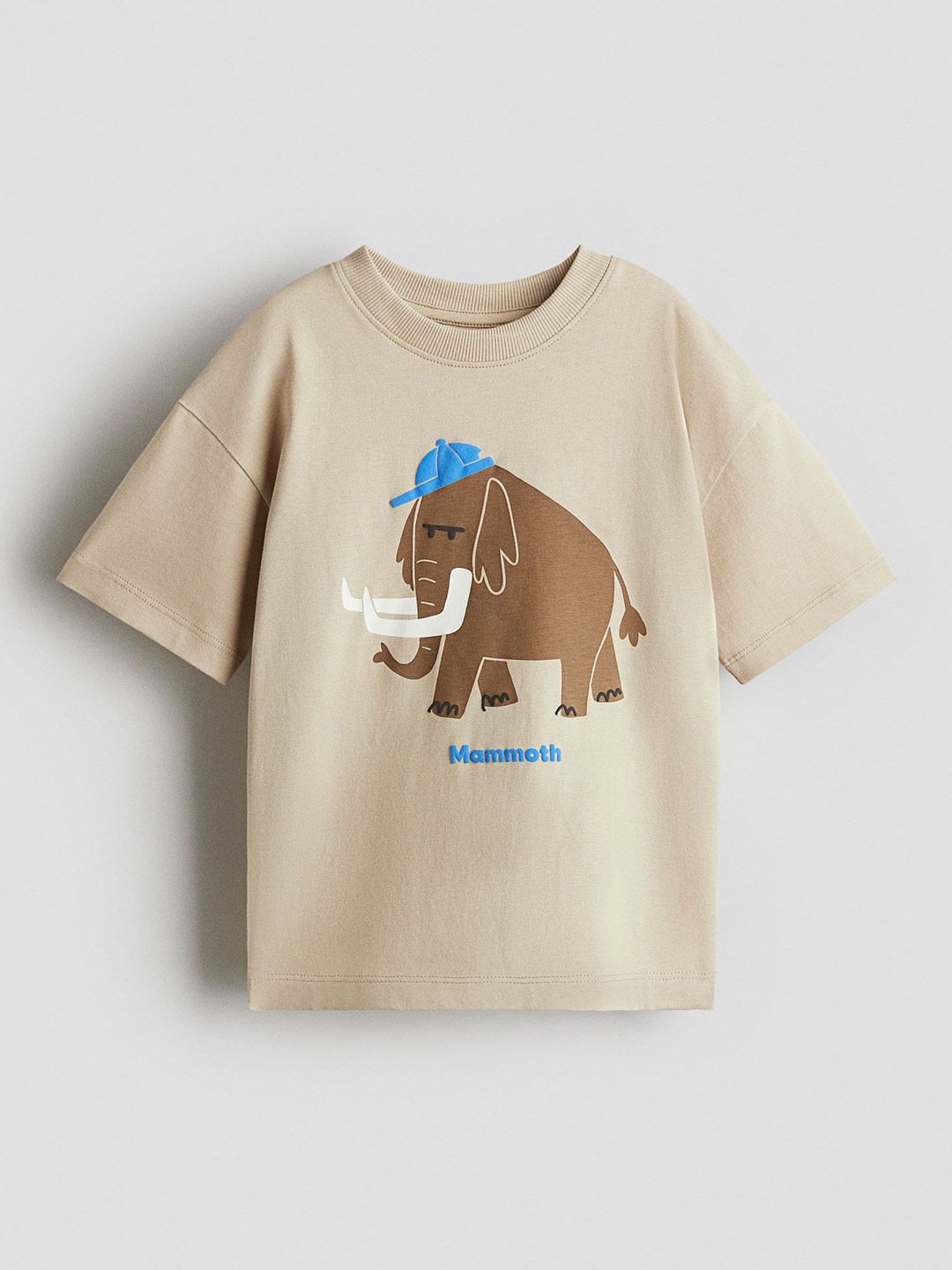 H&M Loose-Fit Printed T-Shirt-picture-57