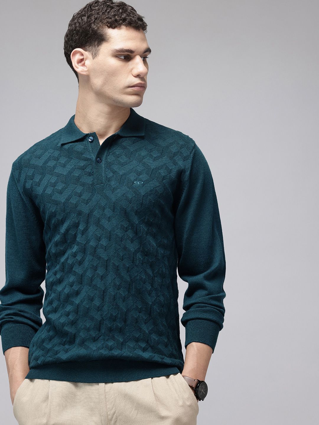 ColorPlus Self Designed Shirt Collar Knitted Pullover-picture-54