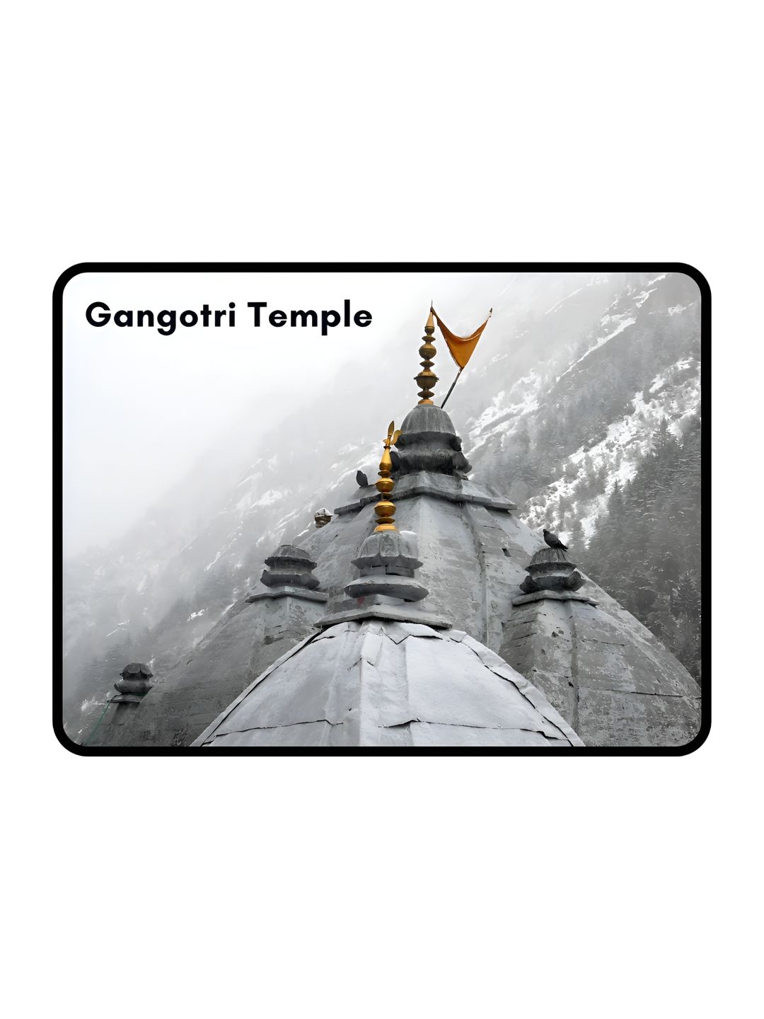 GIFTODAY White & Grey Printed Decorative Magnets-image-18