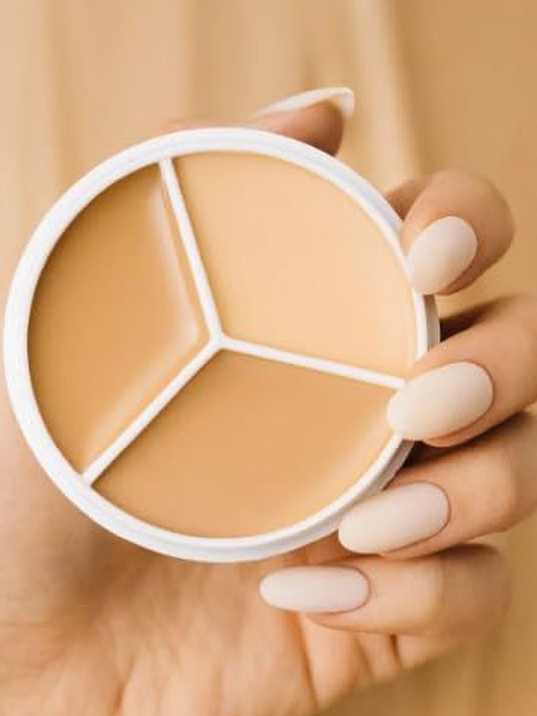 AsviraPharmaceuticals 3-in-1 Full Coverage Hydrating Concealer Palette - Cream - 15 g-picture-53