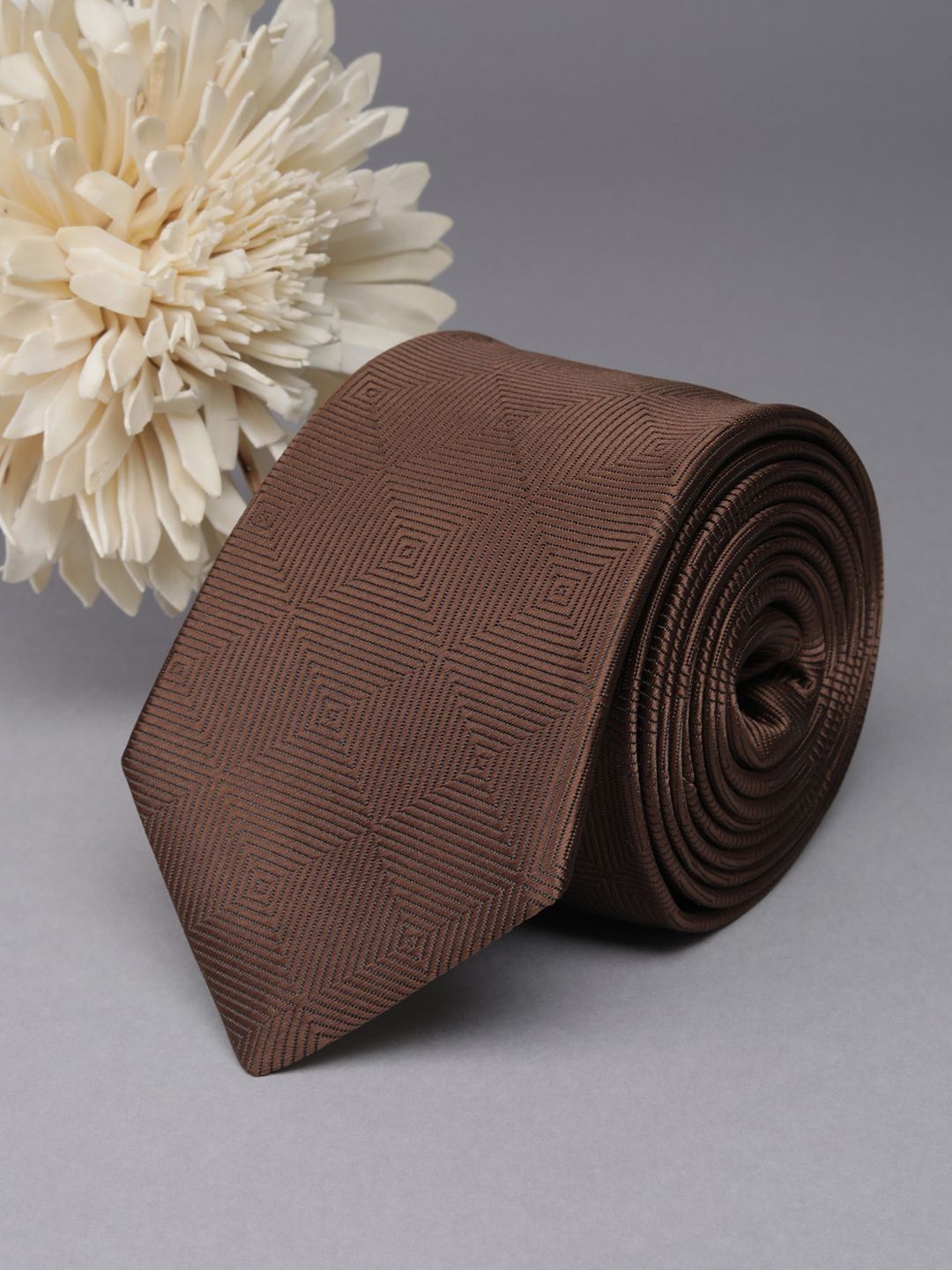 Allen Solly Men Ties-picture-36
