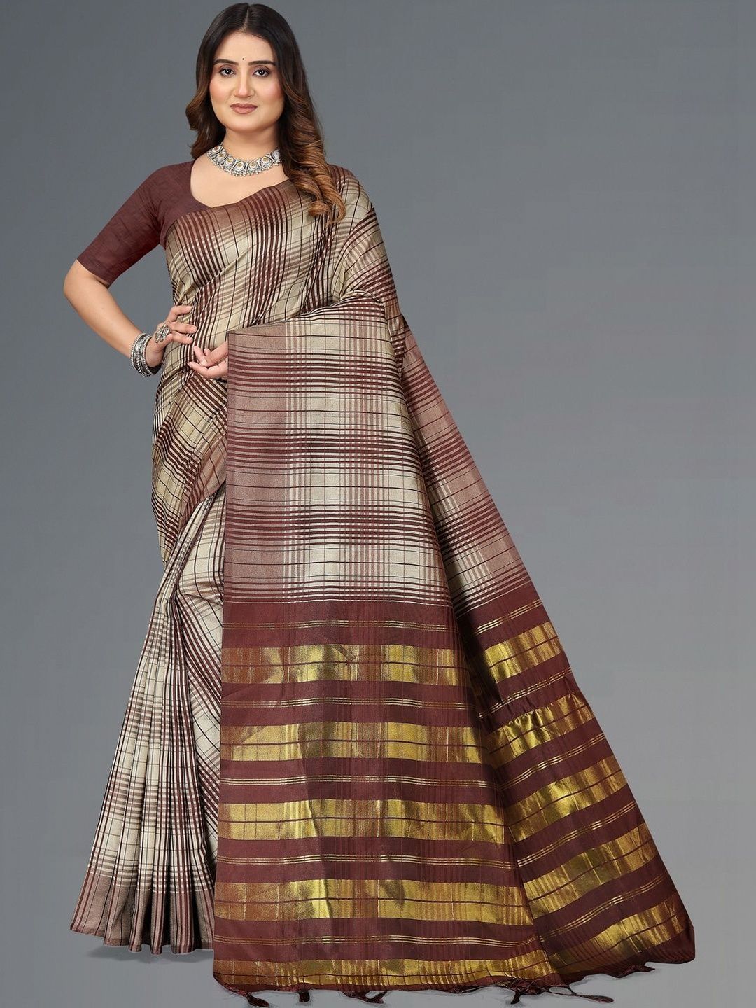 SHAIBO SAREE Checked Woven Design Silk Cotton Saree-picture-8