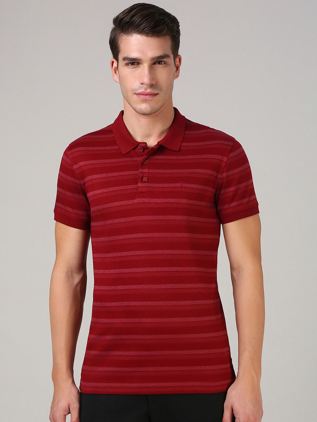 van heusen innerwear Van Heusen Men Striped Regular Fit Comfortable Polo Neck Soft Breathable Lounge T-Shirt-picture-10