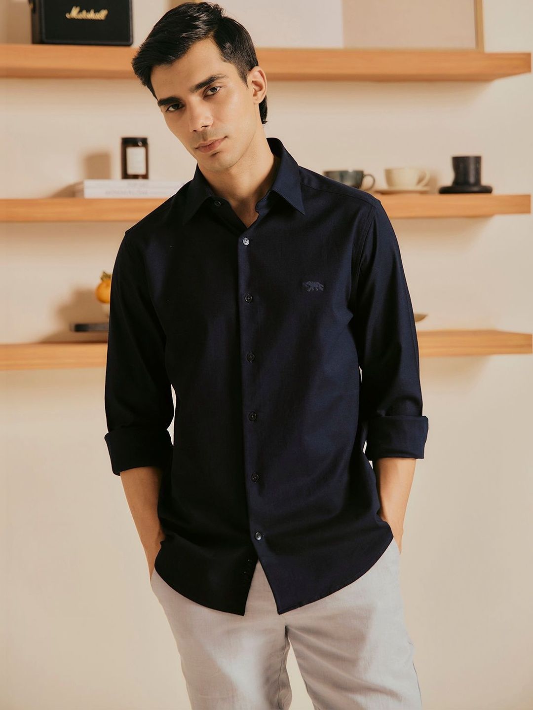 Andamen Men Cotton Lycra Dobby Regular Fit Shirt-picture-33