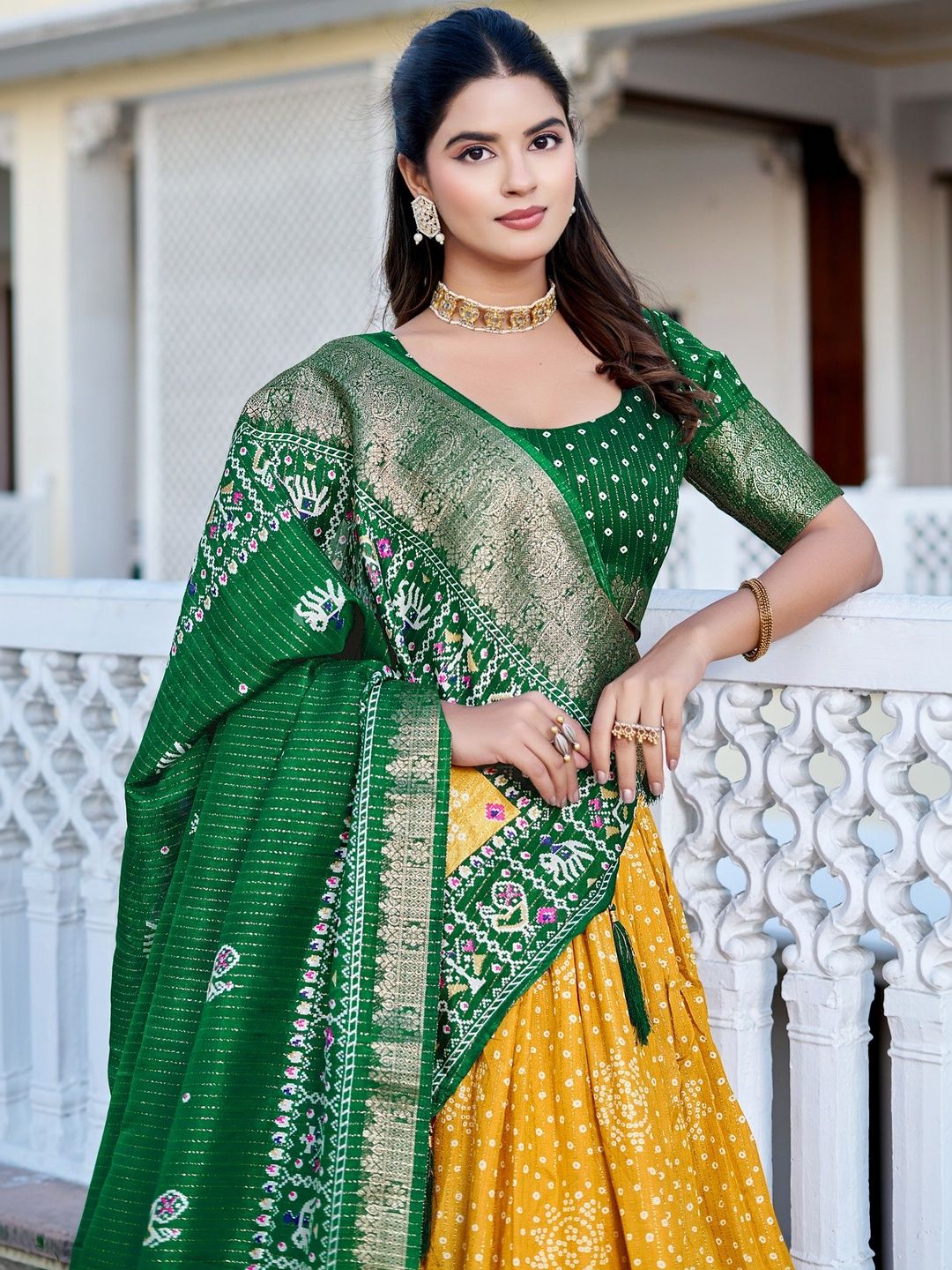 House of Pataudi Printed Scoop Neck Flared Lehenga Choli-picture-26