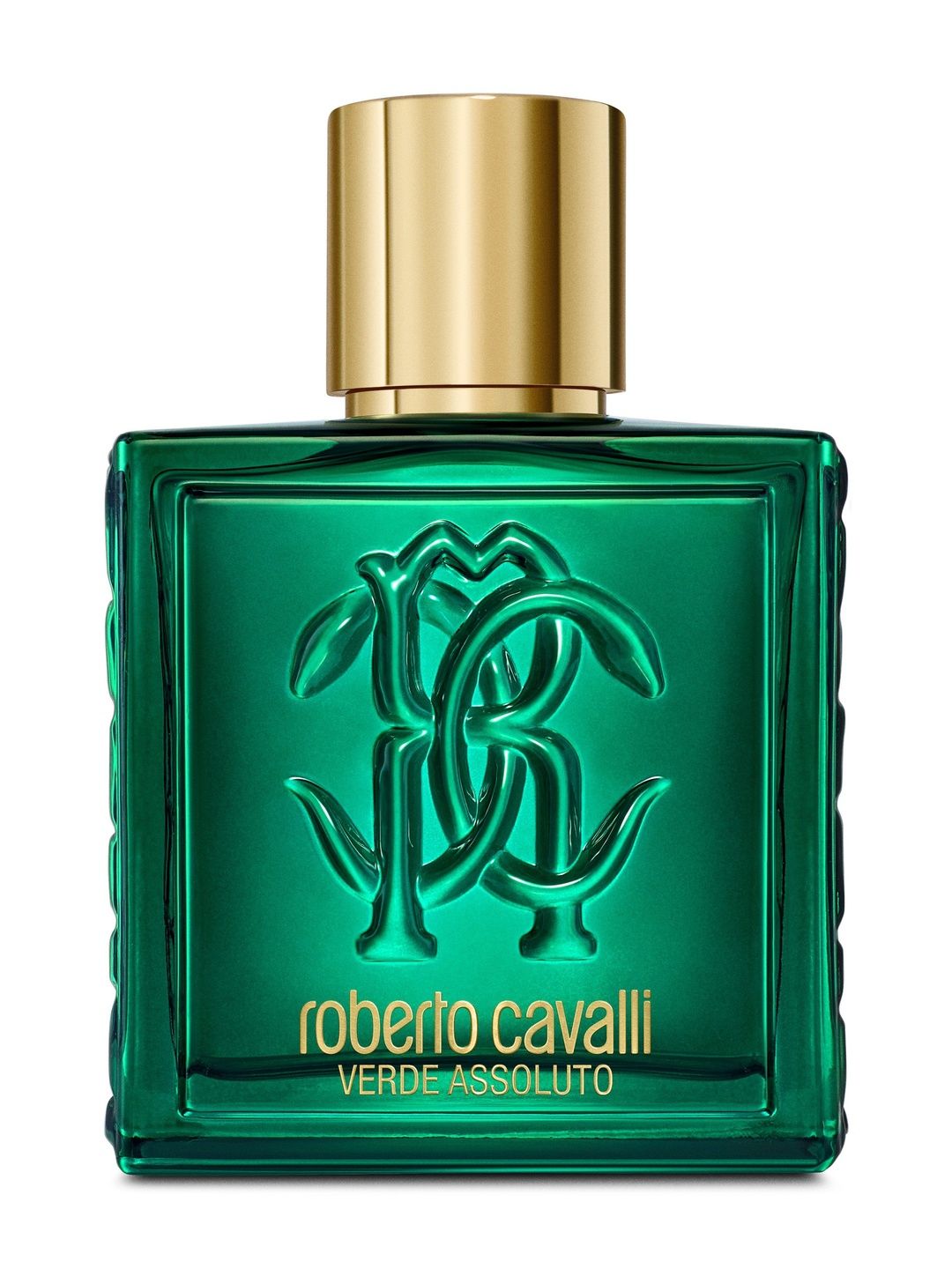 Roberto Cavalli Men Verde Assoluto Eau De Parfum Natural Spray - 100 ml-picture-44