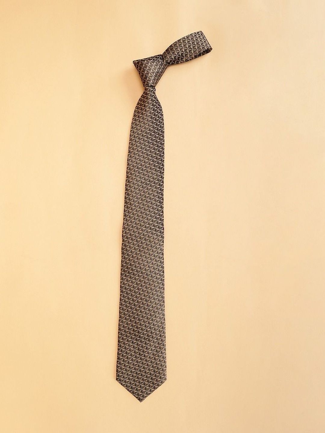 Satya Paul Men Ties-picture-35