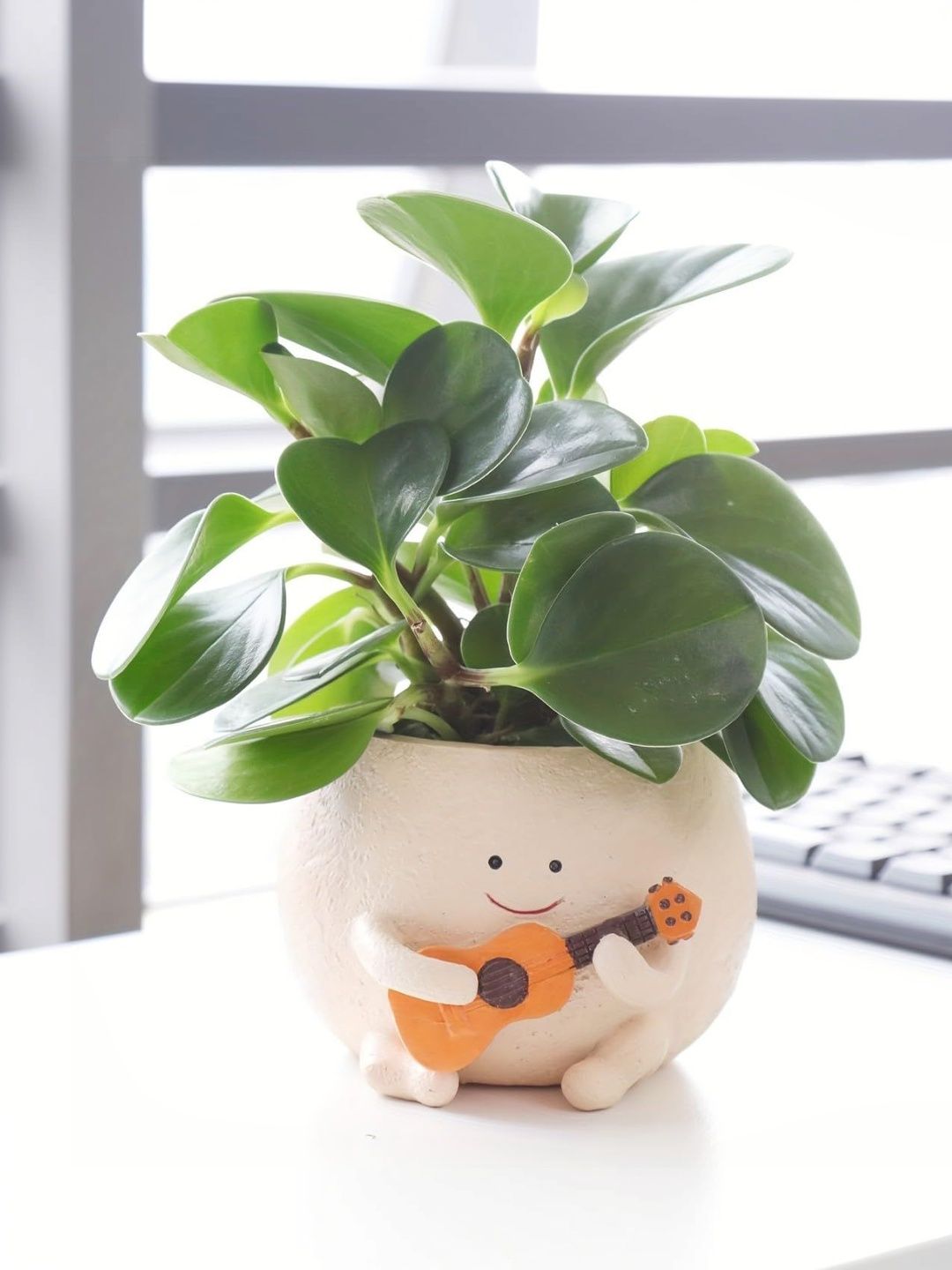 Eleven To Eleven Decor Off White Ceramic Versatile Planter-image-26