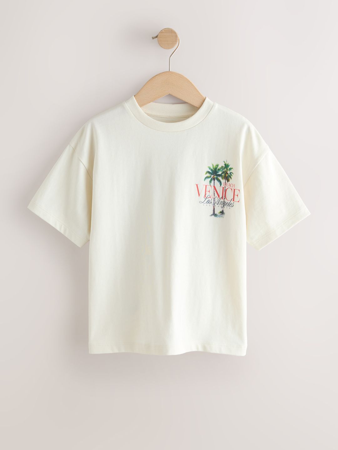 NEXT Boys Printed Drop-Shoulder Sleeves T-shirt-picture-19