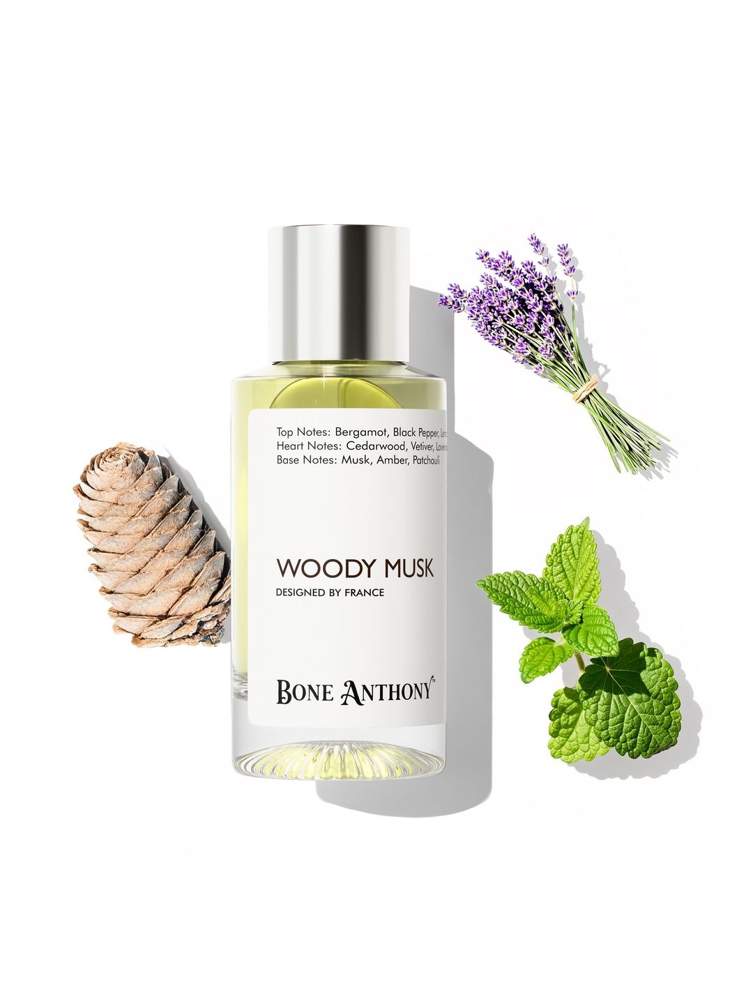 Bone Anthony Men Woody Musk Long Lasting Eau De Parfum - 50 ml-picture-34