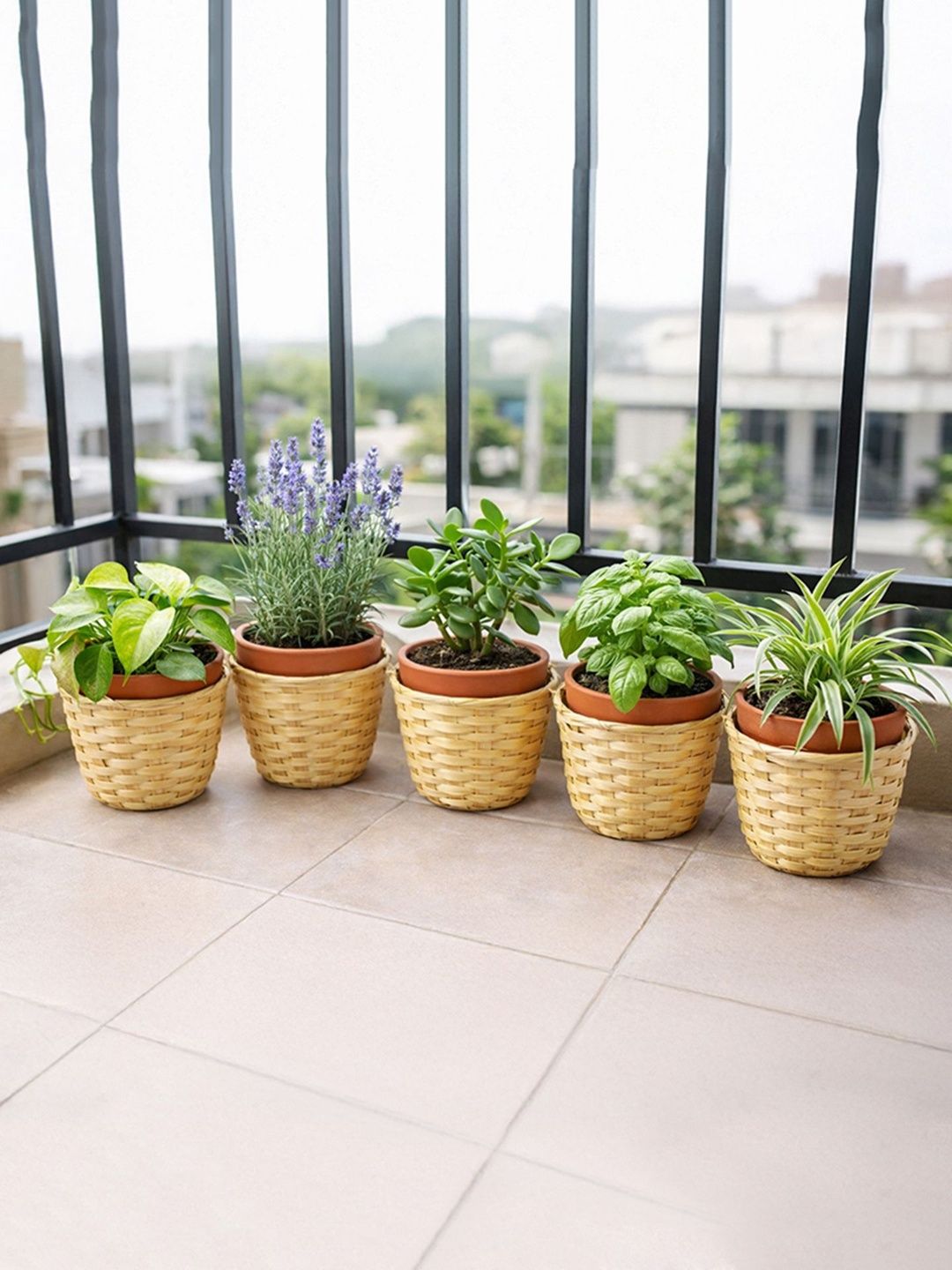 HABERE INDIA 5 Pieces Beige Wood Planters-picture-15