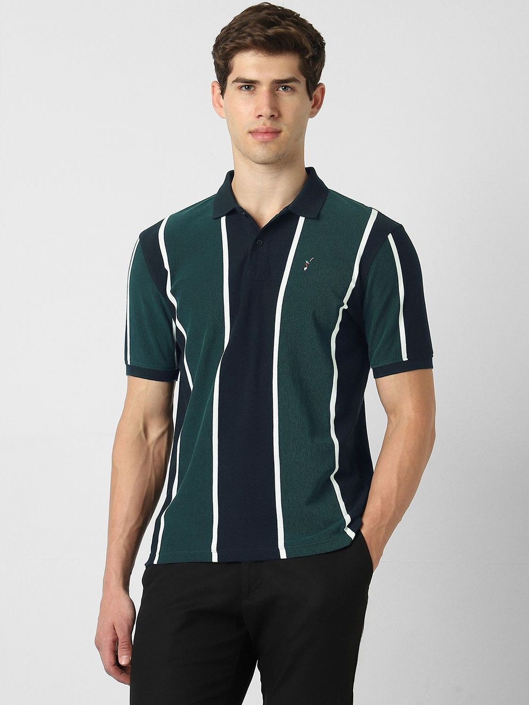 Peter England Casuals Men Striped Polo Collar T-shirt-picture-32
