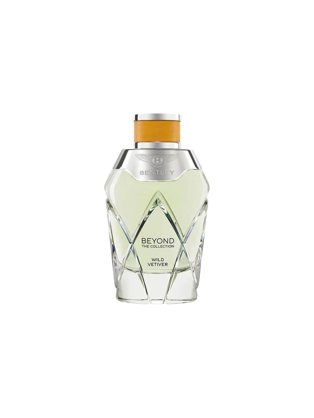 BENTLEY Beyond The Collection Wild Vetiver Long Lasting Eau de Parfum - 100 ml-picture-10
