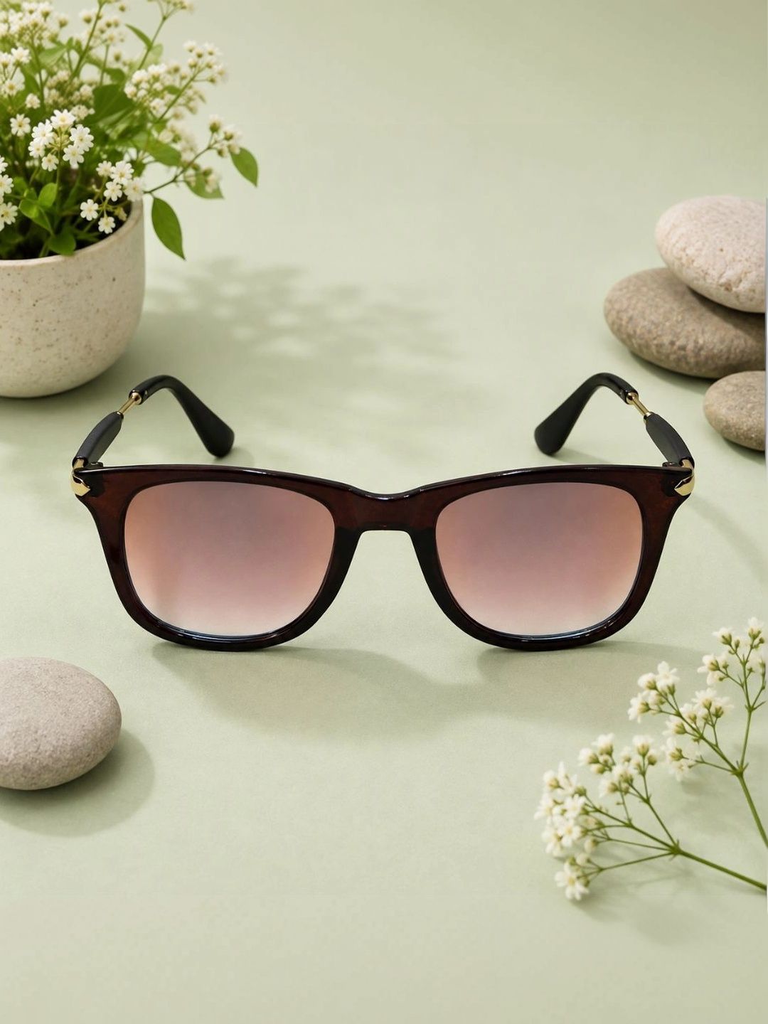 Roadster Unisex Brown Lens & Brown Wayfarer Sunglasses with-picture-12