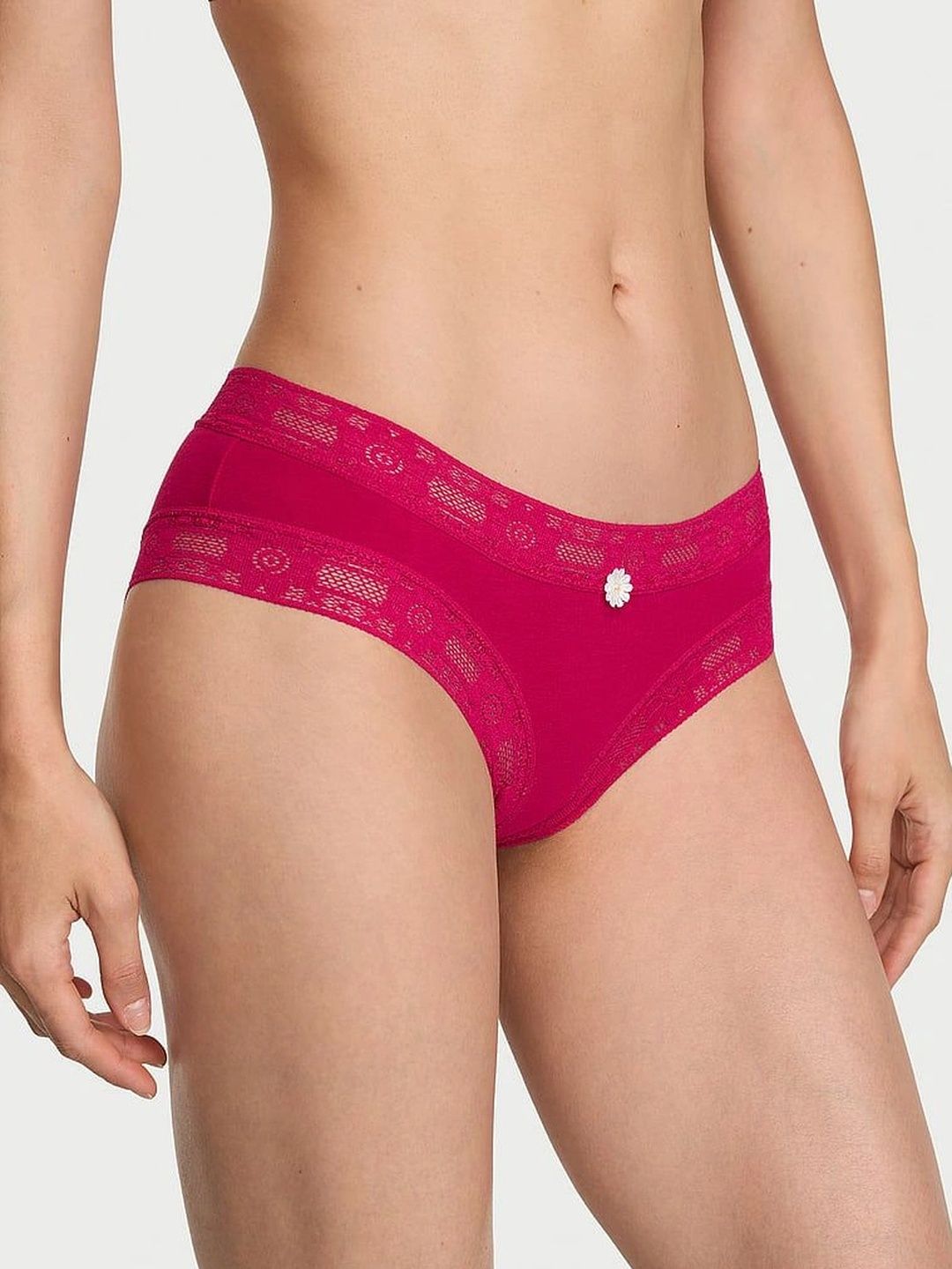 Victoria's Secret Women Hipster Briefs-picture-43
