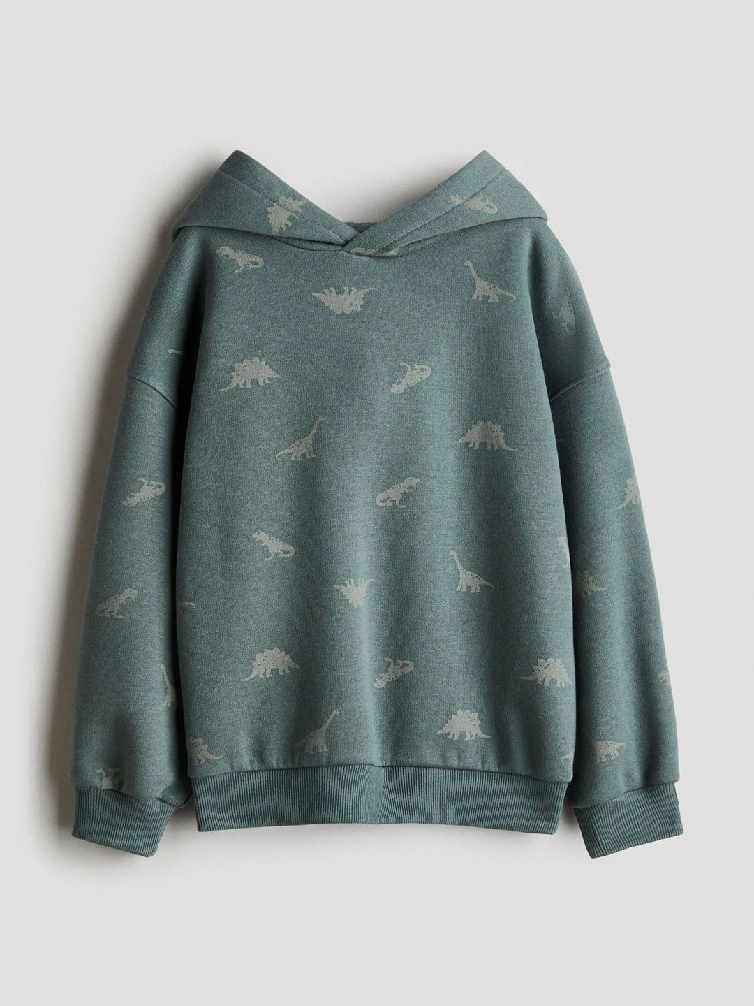 H&M Boys Printed Hooded Sweatshirt-picture-56