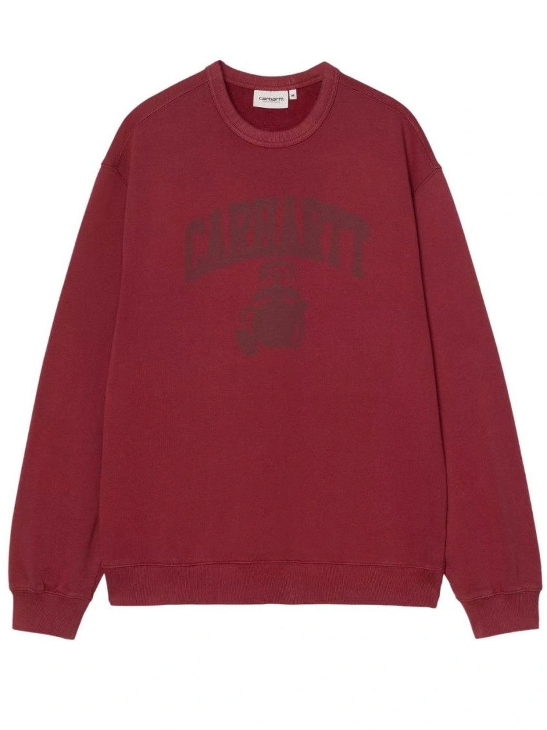 Carhartt Men Printed Sweatshirt-picture-18