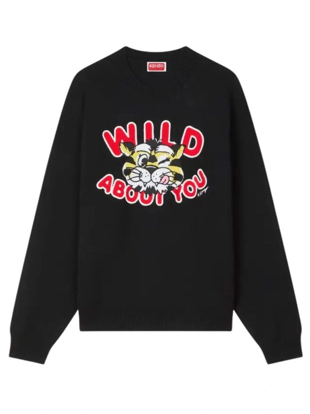 KENZO Men Printed Sweatshirt-picture-45