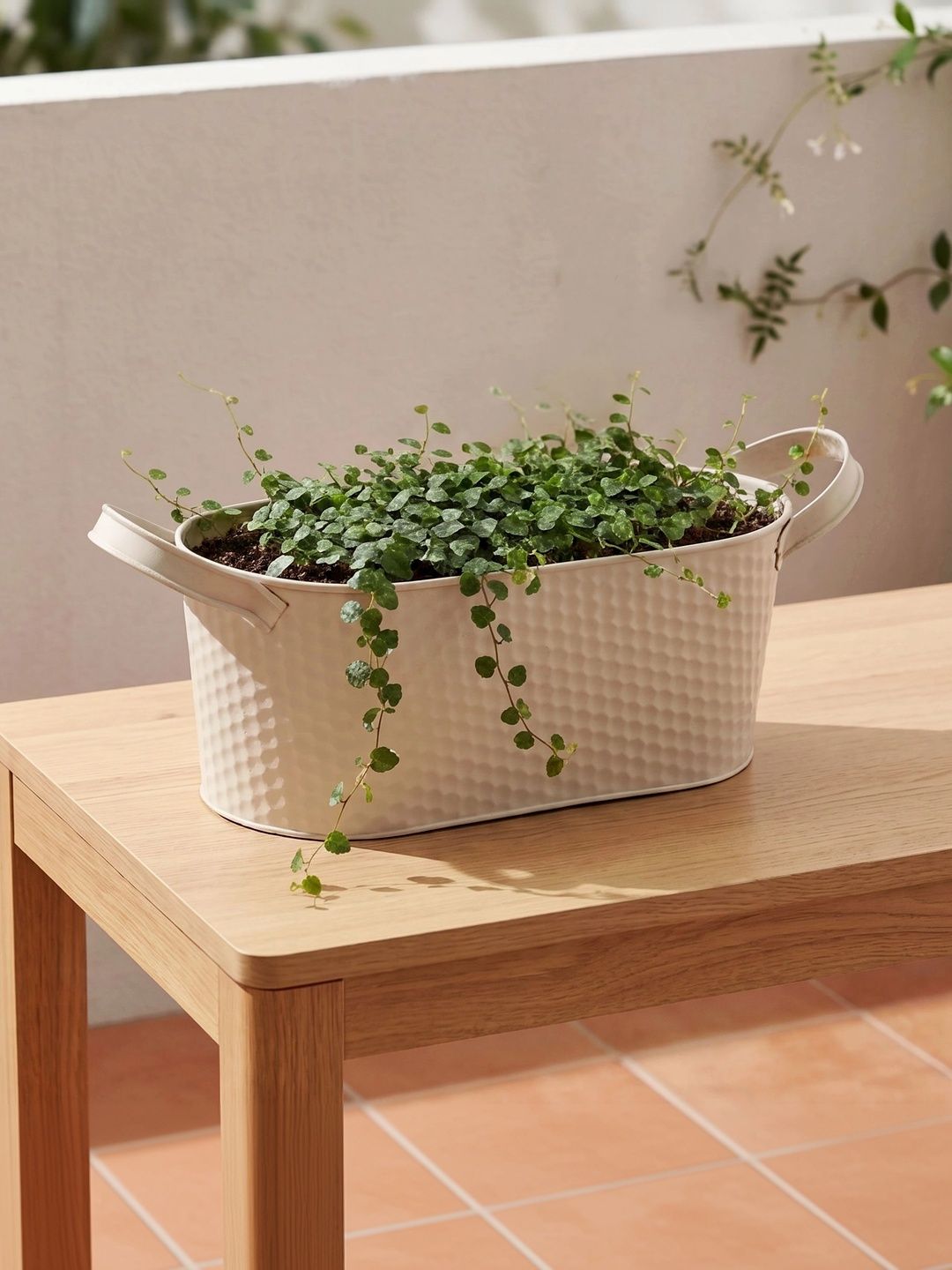 Home Centre Nesta Garden Rustica Beige Debossed Planters With Handles-picture-51